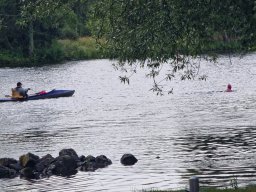 Mainschwimmen Juni 2026